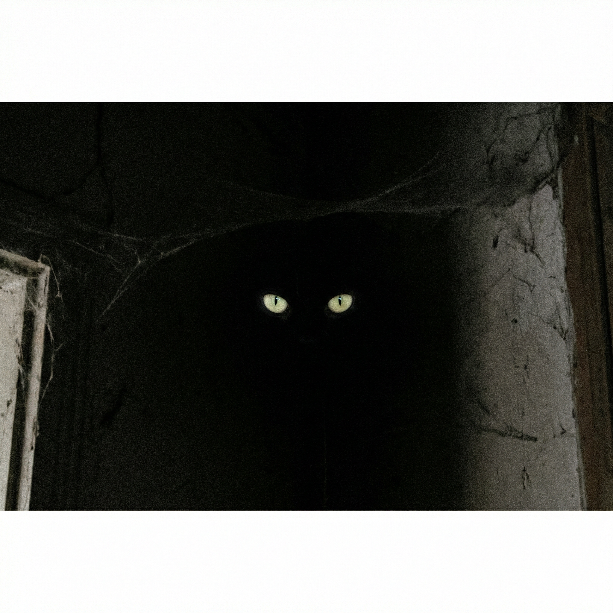 Dark corner with a pair of eyes